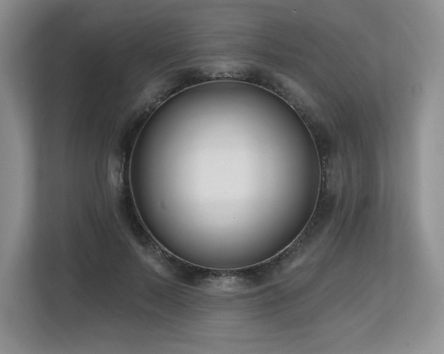 X0000112800695200908211134