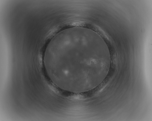 X0000112800696200908211134