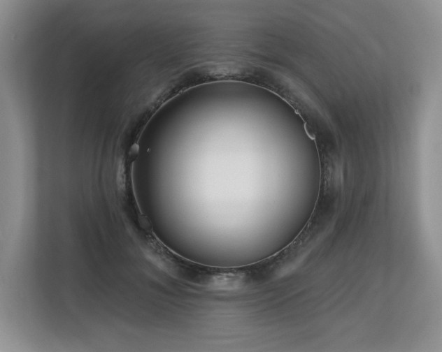 X0000112800700200908211134