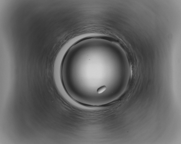 X0000112800701200908211133