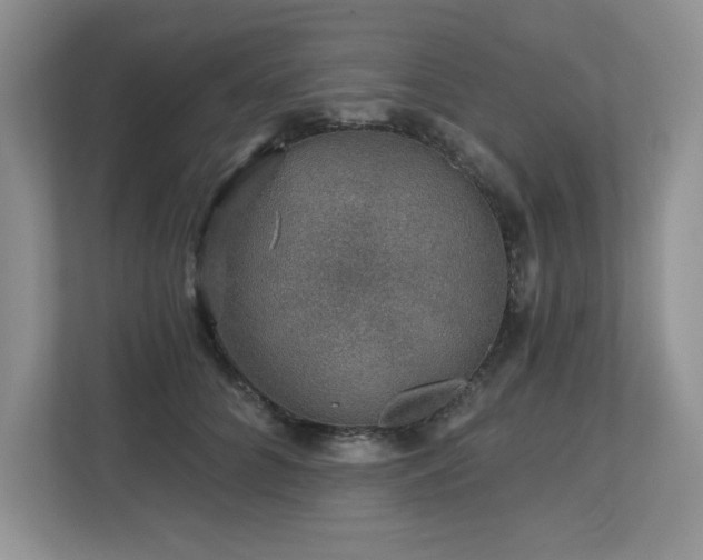 X0000112800704200908211133