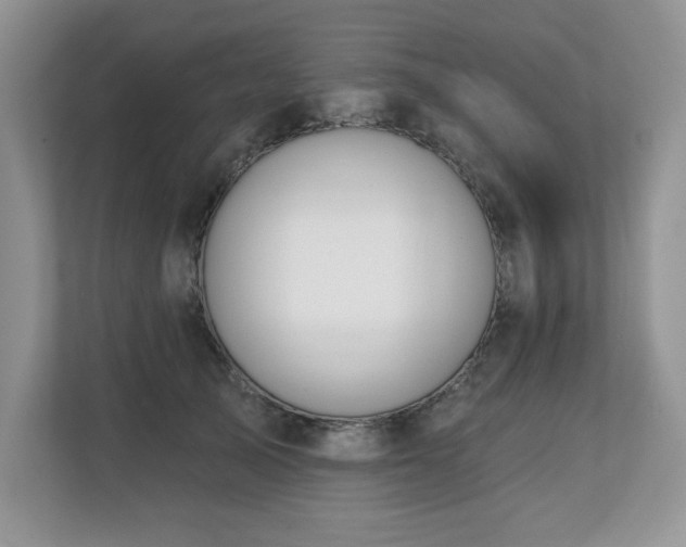 X0000112800705200908211133