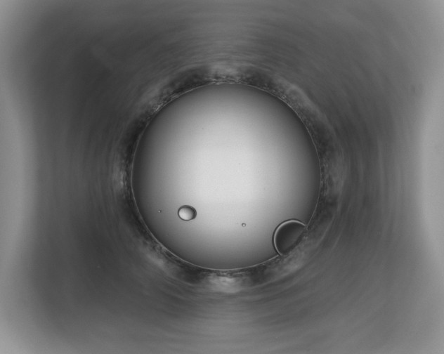 X0000112800706200908211133