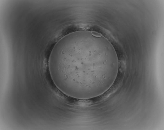 X0000112800707200908211133