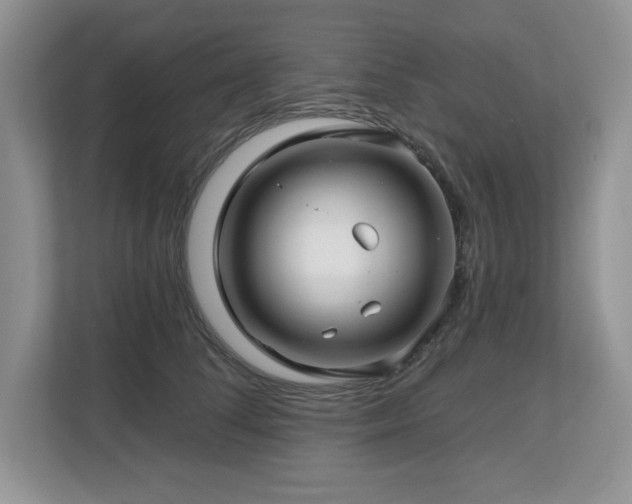 X0000112800708200908211133