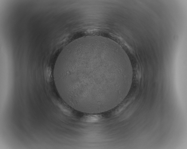 X0000112800711200908211133