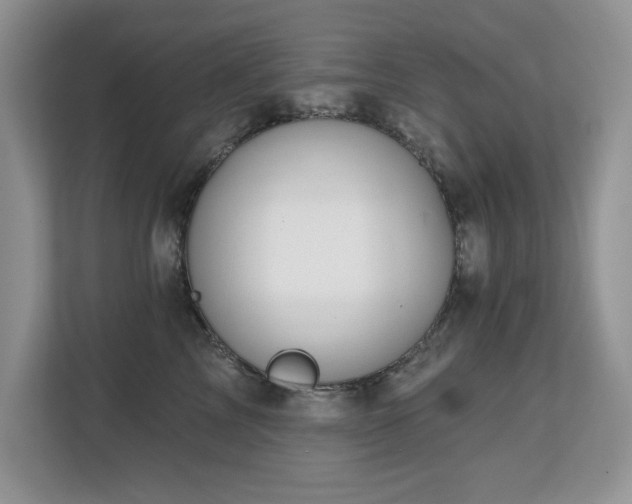 X0000112800713200908211133