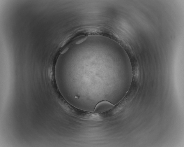 X0000112800715200908211133