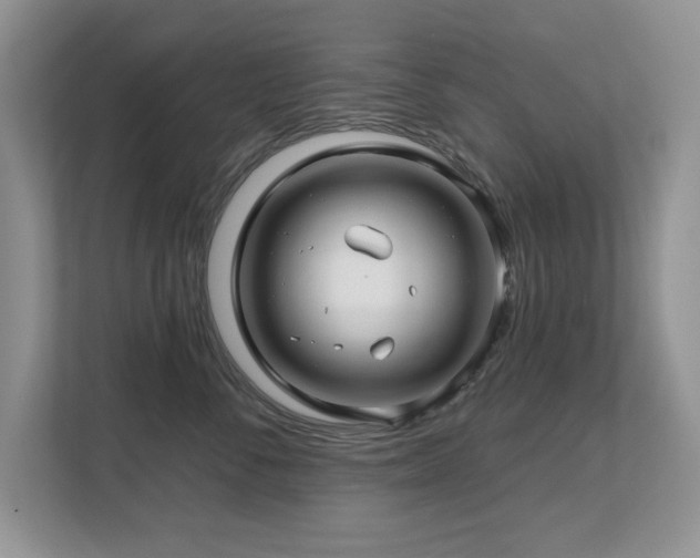 X0000112800716200908211133