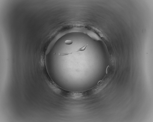 X0000112800719200908211133