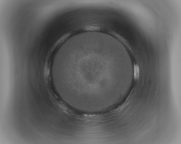 X0000112800723200908211133
