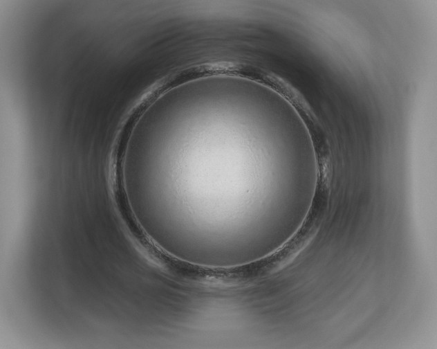X0000112800725200908211133