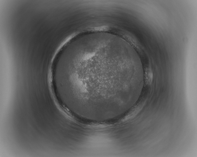 X0000112800726200908211133