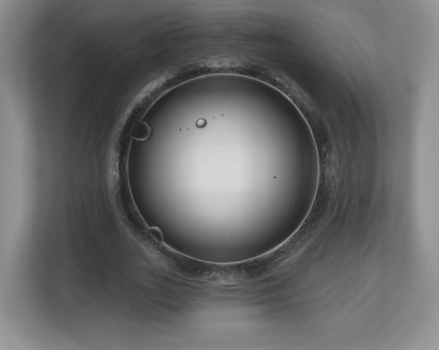 X0000112800727200908211133