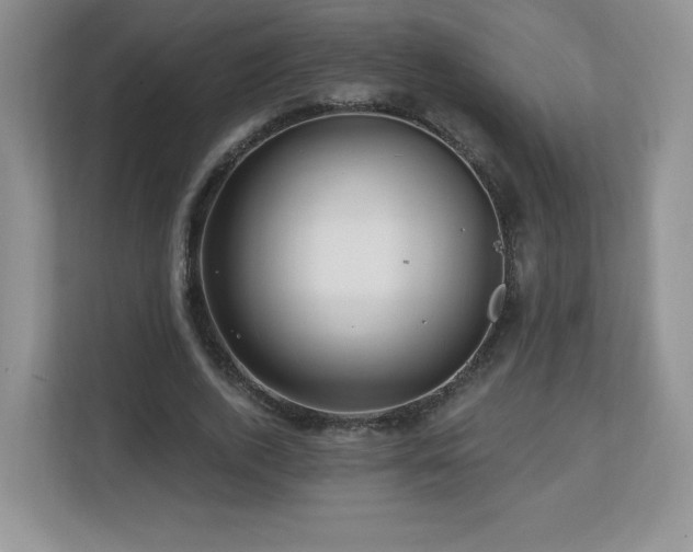 X0000112800728200908211133