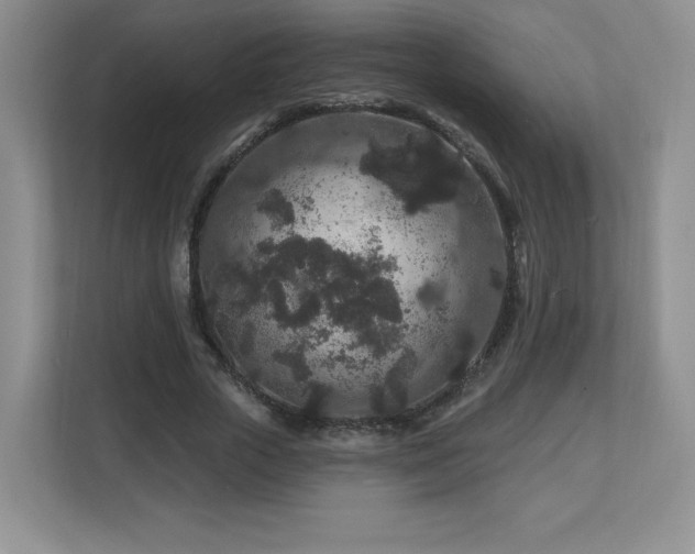 X0000112800729200908211133