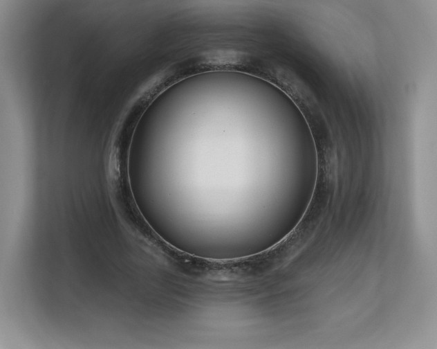 X0000112800731200908211133