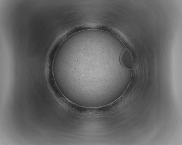 X0000112800736200908211133