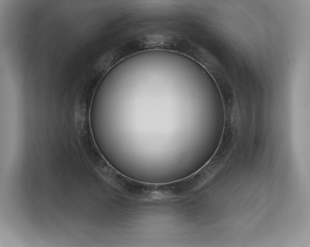 X0000112800737200908211133
