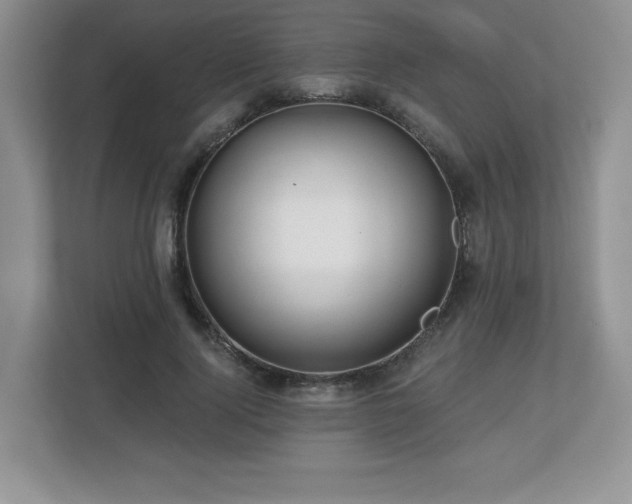 X0000112800740200908211133