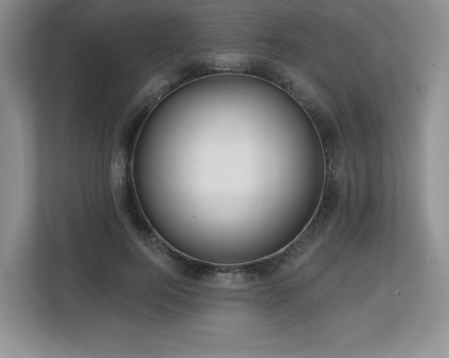 X0000112800744200908211133