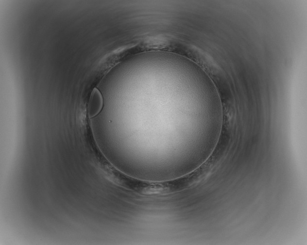 X0000112800745200908211133