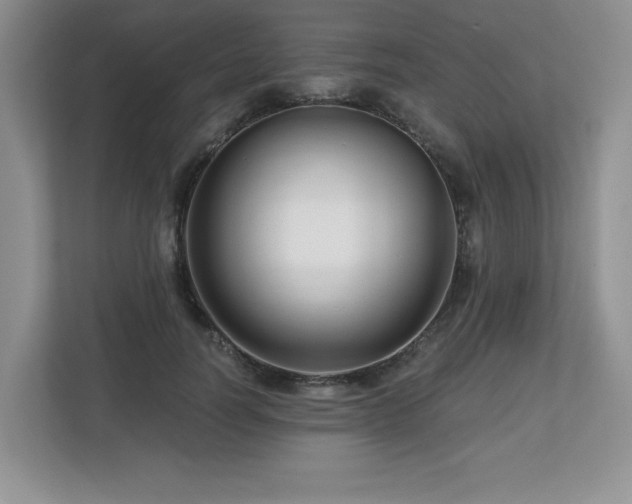 X0000112800746200908211133