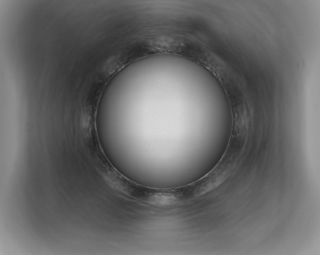 X0000112800749200908211133