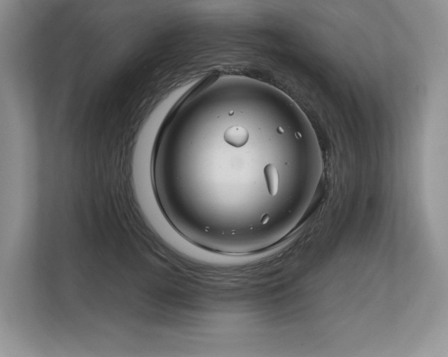 X0000112800752200908211133