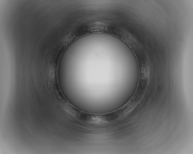 X0000112800753200908211133