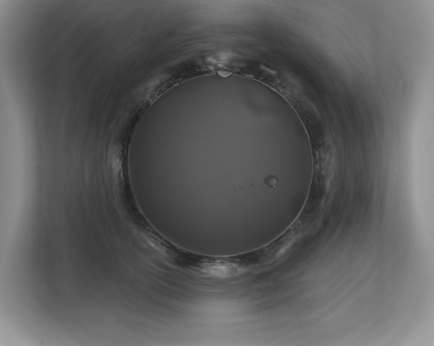 X0000112800754200908211133