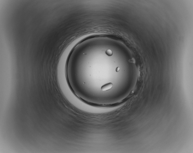 X0000112800756200908211133