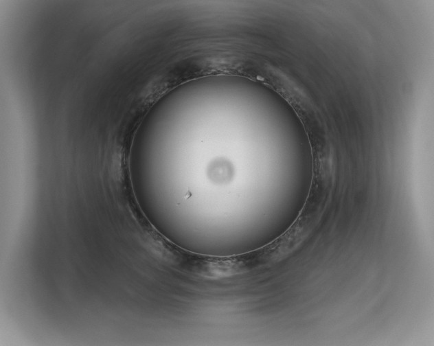 X0000112800757200908211133