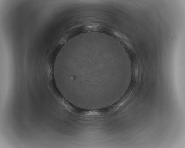 X0000112800759200908211133