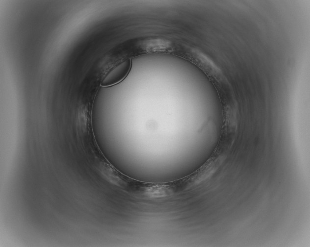 X0000112800761200908211133