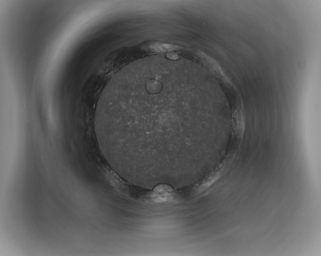 X0000112800762200908211133