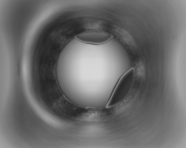 X0000112800764200908211133