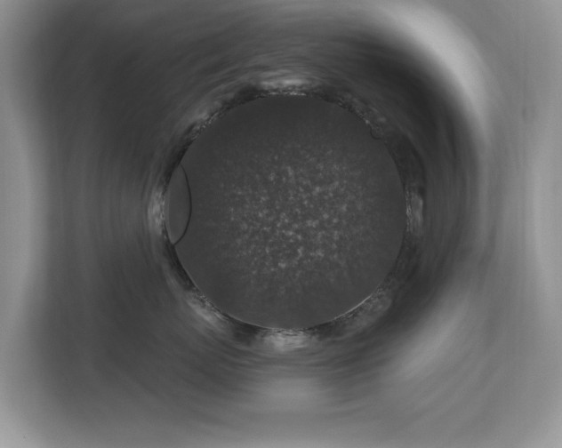 X0000112800767200908211133
