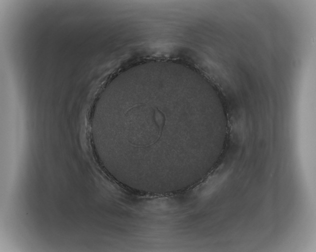 X0000112800769200908211133