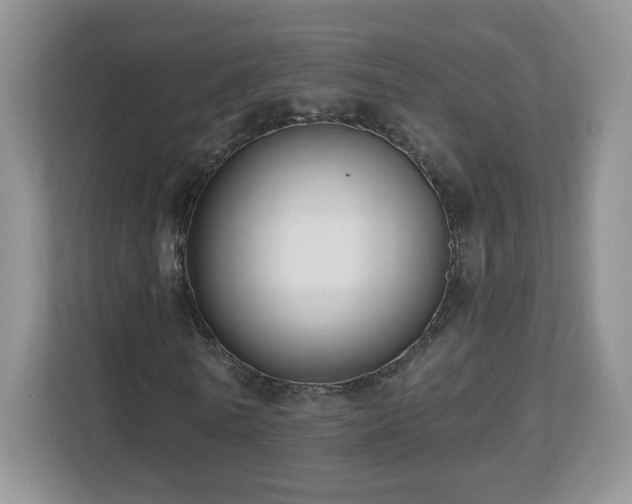 X0000112800770200908211133