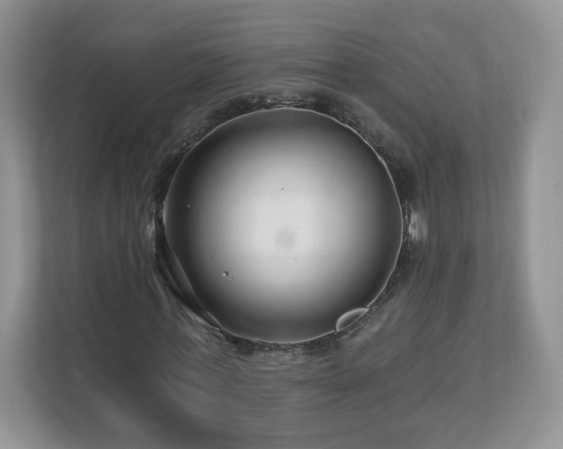 X0000112800771200908211133
