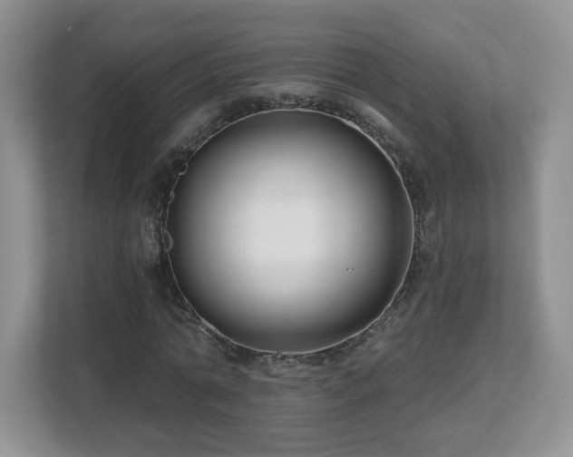 X0000112800774200908211133
