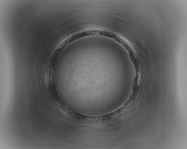 X0000112800775200908211133