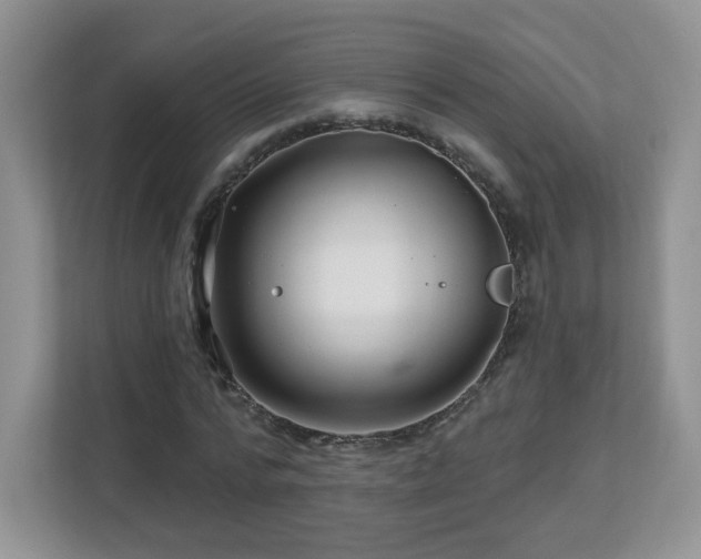 X0000112800776200908211133
