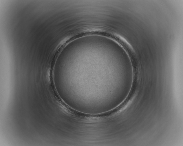 X0000112800777200908211133