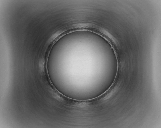 X0000112800778200908211132
