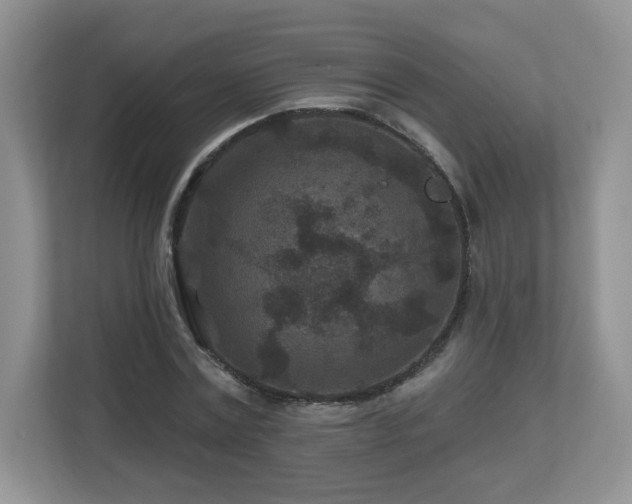 X0000112800779200908211132