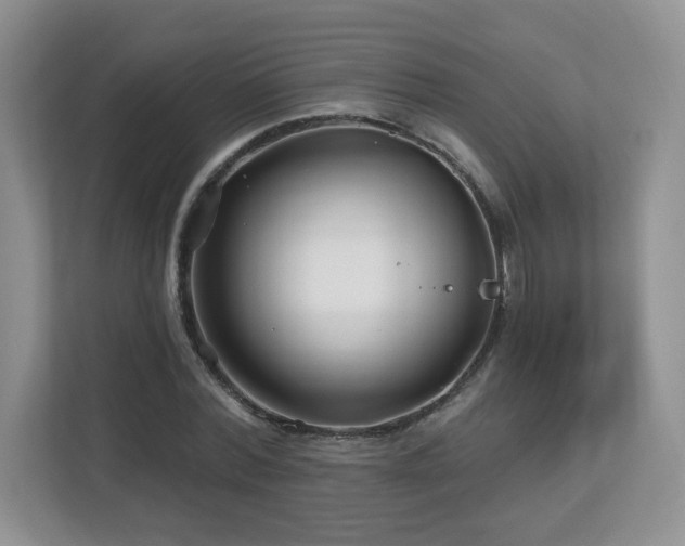 X0000112800780200908211132