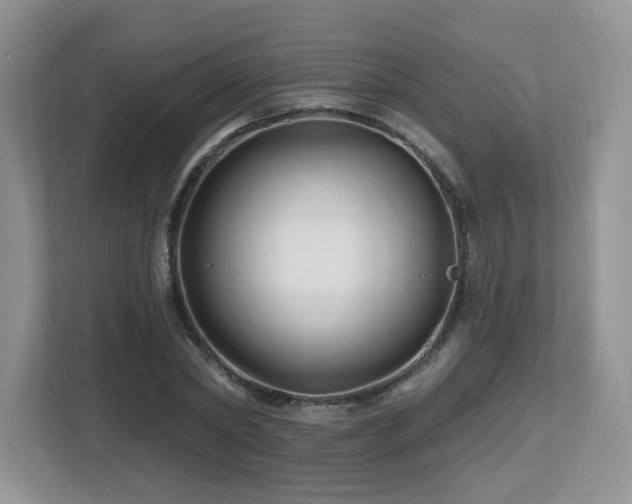 X0000112800782200908211132
