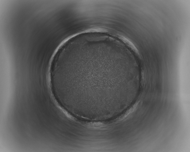 X0000112800784200908211132